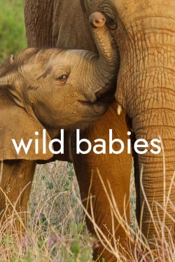 Wild Babies-123movies