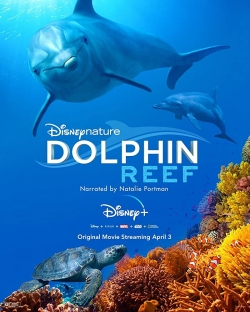 Dolphin Reef-123movies