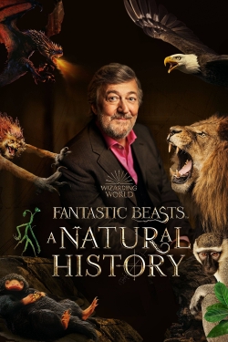 Fantastic Beasts: A Natural History-123movies