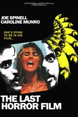 The Last Horror Film-123movies