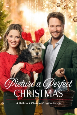 Picture a Perfect Christmas-123movies