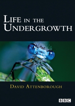 Life in the Undergrowth-123movies