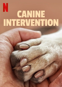 Canine Intervention-123movies