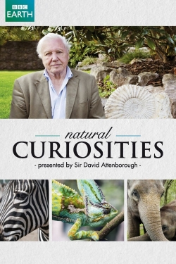 David Attenborough's Natural Curiosities-123movies