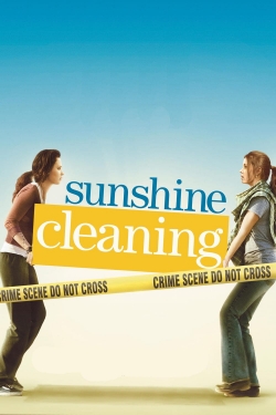 Sunshine Cleaning-123movies