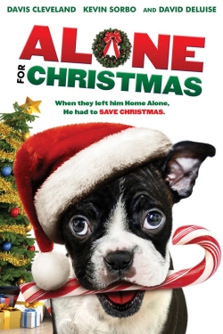 Alone for Christmas-123movies