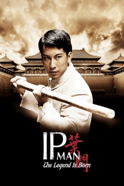 The Legend Is Born: Ip Man-123movies
