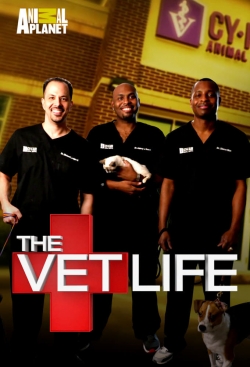 The Vet Life-123movies