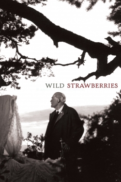 Wild Strawberries-123movies