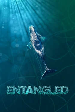 Entangled: The Race to Save Right Whales from Extinction-123movies