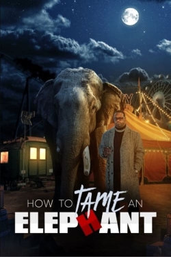 How To Tame An Elephant-123movies