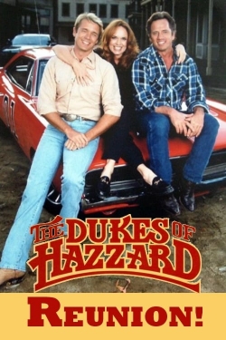 The Dukes of Hazzard: Reunion!-123movies