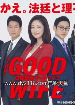 The Good Wife-123movies