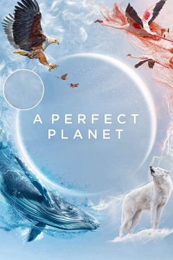 A Perfect Planet-123movies