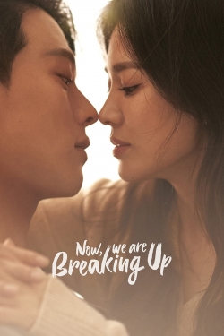 Now, We Are Breaking Up-123movies