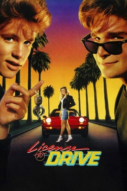 License to Drive-123movies