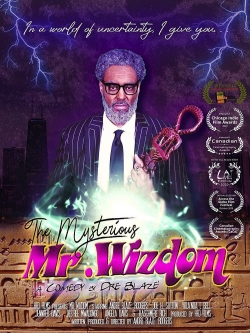 The Mysterious Mr. Wizdom-123movies