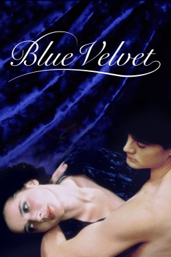 Blue Velvet-123movies