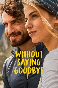 Without Saying Goodbye-123movies