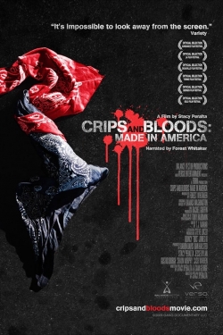 Crips and Bloods: Made in America-123movies