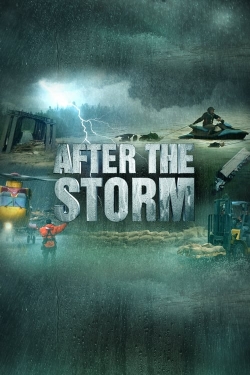 After the Storm-123movies