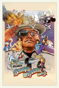 Smokey and the Bandit Part 3-123movies