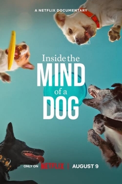 Inside the Mind of a Dog-123movies