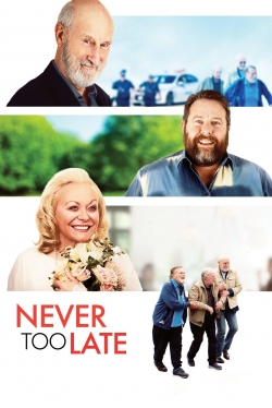 Never Too Late-123movies