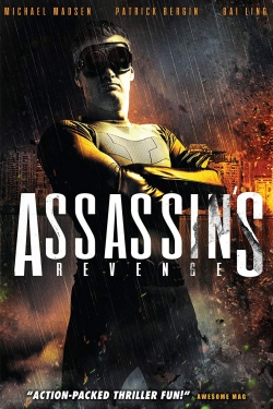 Assassins Revenge-123movies
