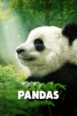 Pandas-123movies