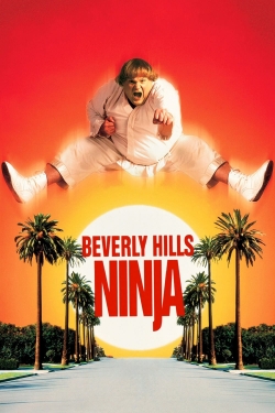 Beverly Hills Ninja-123movies