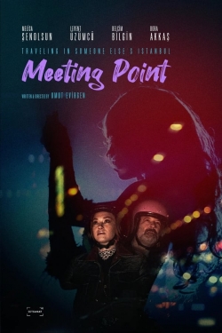 Meeting Point-123movies