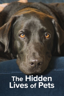 The Hidden Lives of Pets-123movies