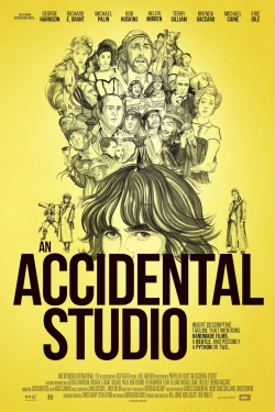 An Accidental Studio-123movies