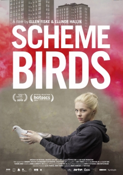 Scheme Birds-123movies