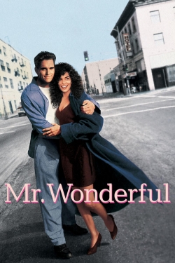 Mr. Wonderful-123movies