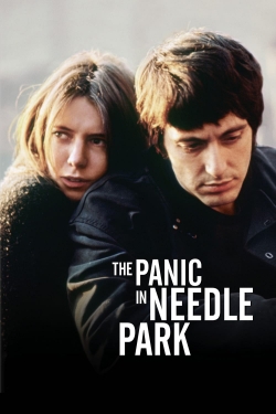 The Panic in Needle Park-123movies