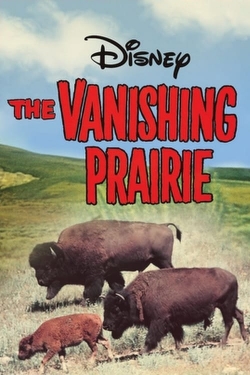 The Vanishing Prairie-123movies