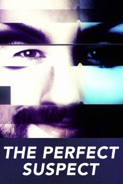 The Perfect Suspect-123movies