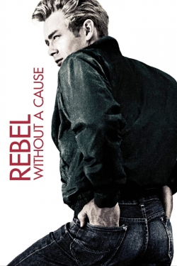 Rebel Without a Cause-123movies