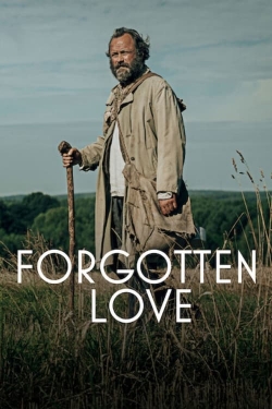 Forgotten Love-123movies