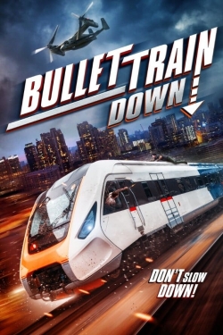 Bullet Train Down-123movies