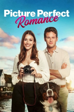Picture Perfect Romance-123movies