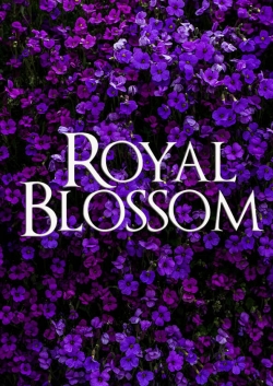 Royal Blossom-123movies