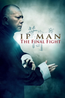 Ip Man: The Final Fight-123movies