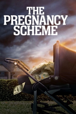 The Pregnancy Scheme-123movies