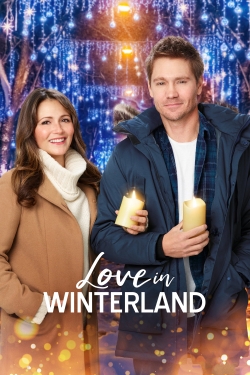 Love in Winterland-123movies