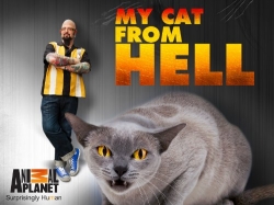My Cat from Hell-123movies