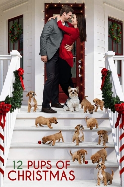 12 Pups of Christmas-123movies