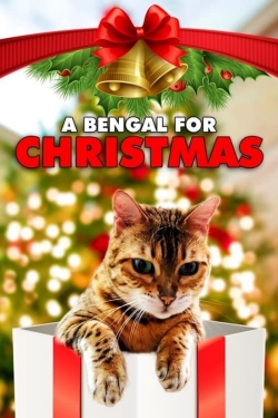 A Bengal for Christmas-123movies